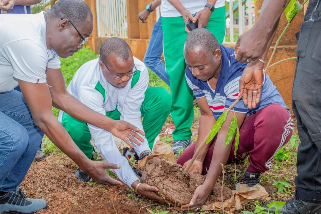 Burkina Faso : Le ministère en charge de la culture plante une centaine d’arbres