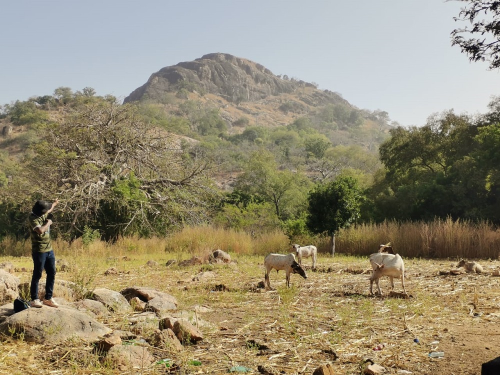 Excursion touristique/SITHO 2024 : A la découverte du Pic Nahouri